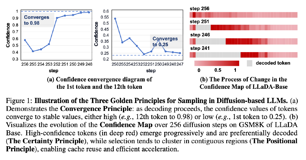 SlowFast采样加速DLM